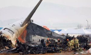 South Korea, Bird Strike, Jeju Jet, Aviation