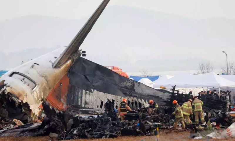 South Korea, Bird Strike, Jeju Jet, Aviation