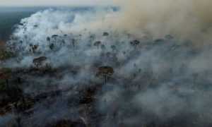 Brazil, Brazil Fires, 2024