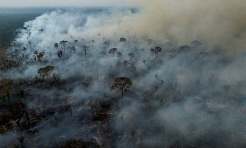 Brazil, Brazil Fires, 2024