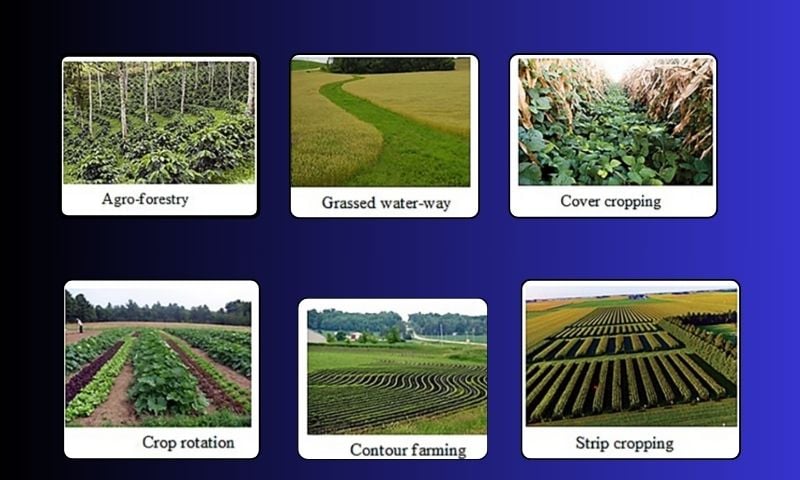 Climate Change on Germination of seeds 1