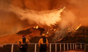 Los Angeles, Wildfires, California, United States, Donald Trump, Climate