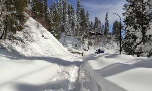 Heavy Snowfall