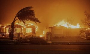 LA Fires, US, Insurance Companies