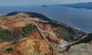 Deforestation, Indonesia,