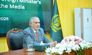 Deputy Prime Minister, Afghanistan, Palestine, United Nations Security Council, Saudi Arabia
