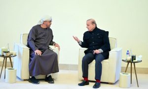 Pakistan, UAE, WEF, Prime Minister, President