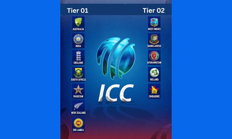 Tier