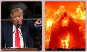 Trump, Wildfire, California, Biden, White House, Pacific Palisades, US,