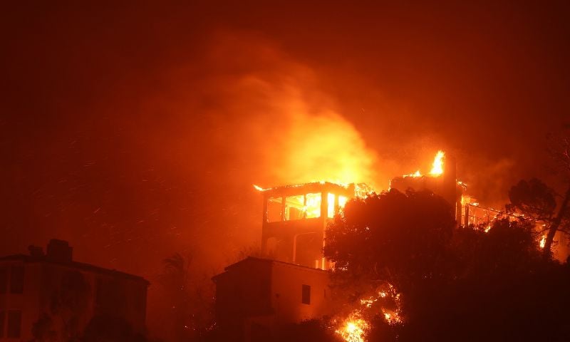 Wildfire