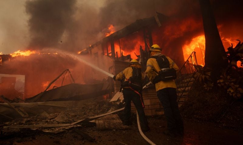 Wildfire