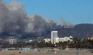 Wildfire