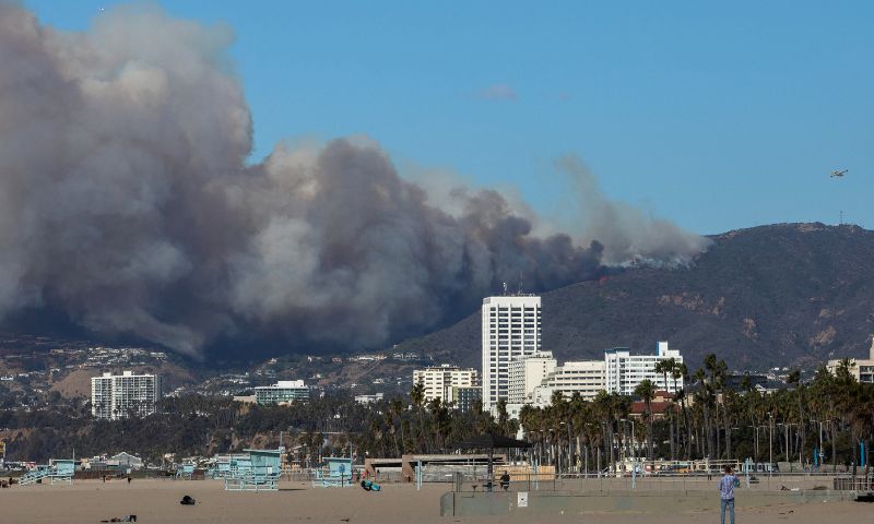 Wildfire