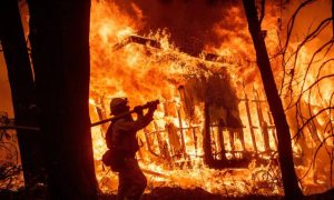 Wildfires