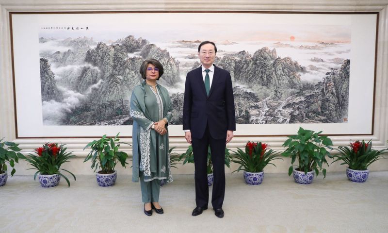 China, Pakistan, Cooperation, CPEC, United Nations