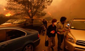 Los Angeles, Wildfires, Pacific Palisades wildfire, Joe Biden
