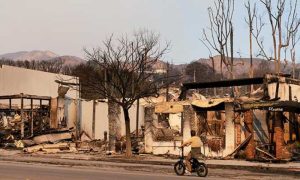 Los Angeles, California, Wildfires, United States, Joe Biden, Donald Trump