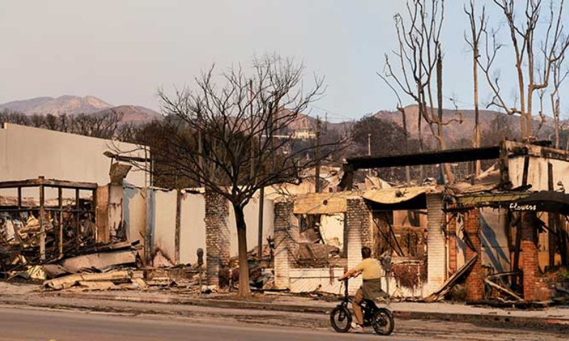 Los Angeles, California, Wildfires, United States, Joe Biden, Donald Trump