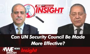 Some World Powers Trying to Erode UN Authority in 2025: Ambassador Munir Akram