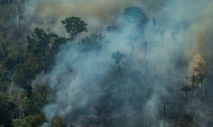 Brazil, Amazon Rainforest, Fires, EU, UN, COP30, Europe, Climate, El Nino, Climate Change