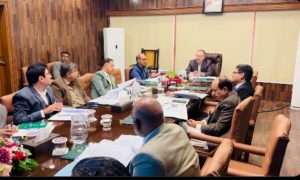 Electric Vehicles, EVs, Pakistan, Sindh, Karachi, Government