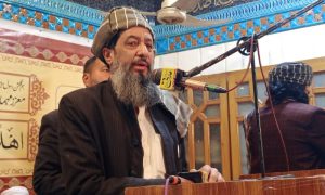 Mulana Hamidul Haq Haqqania