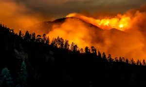 Wildfires, Bush Fires, Australia, Los Angeles