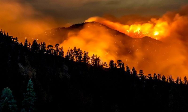 Wildfires, Bush Fires, Australia, Los Angeles