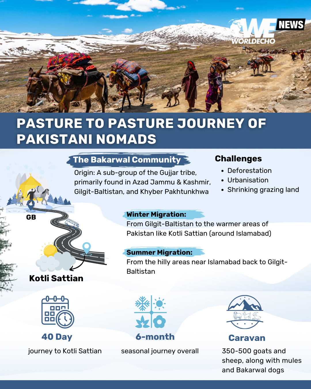 Info graphics for Qadeer Tanoli