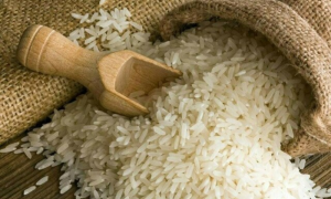 Rice