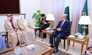 Pakistan, PM, Bahrain, GCC, Prime Minister, IMF, Palestinian,
