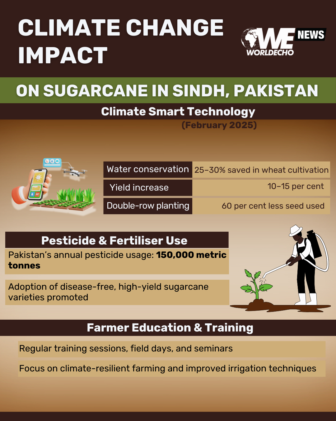 Sugarcane
