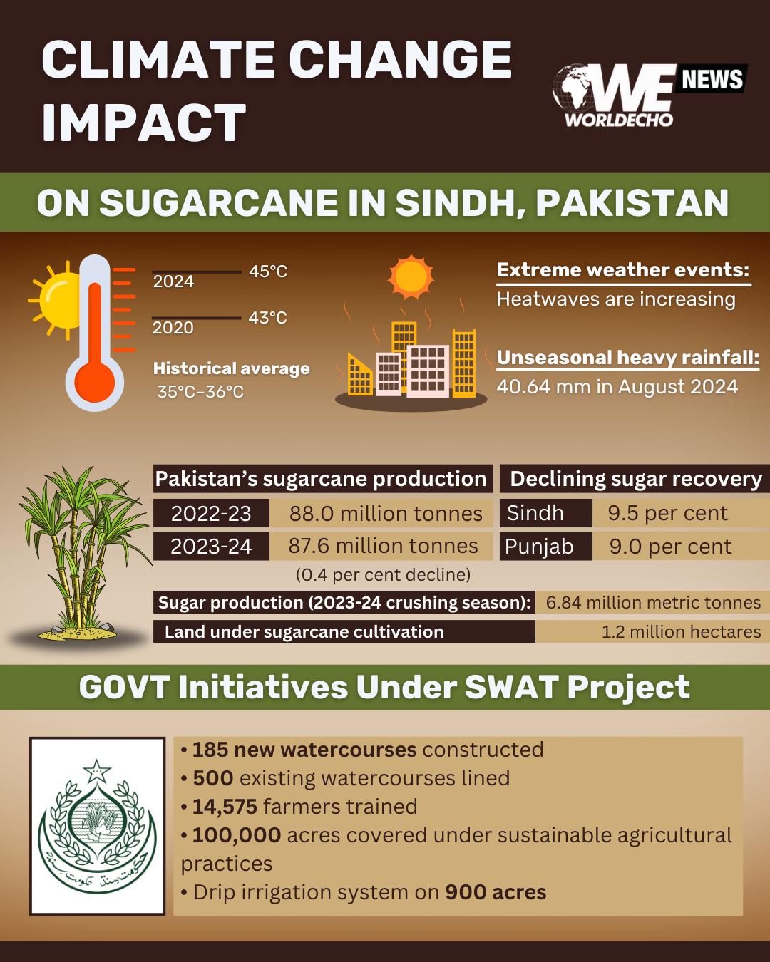 Sugarcane