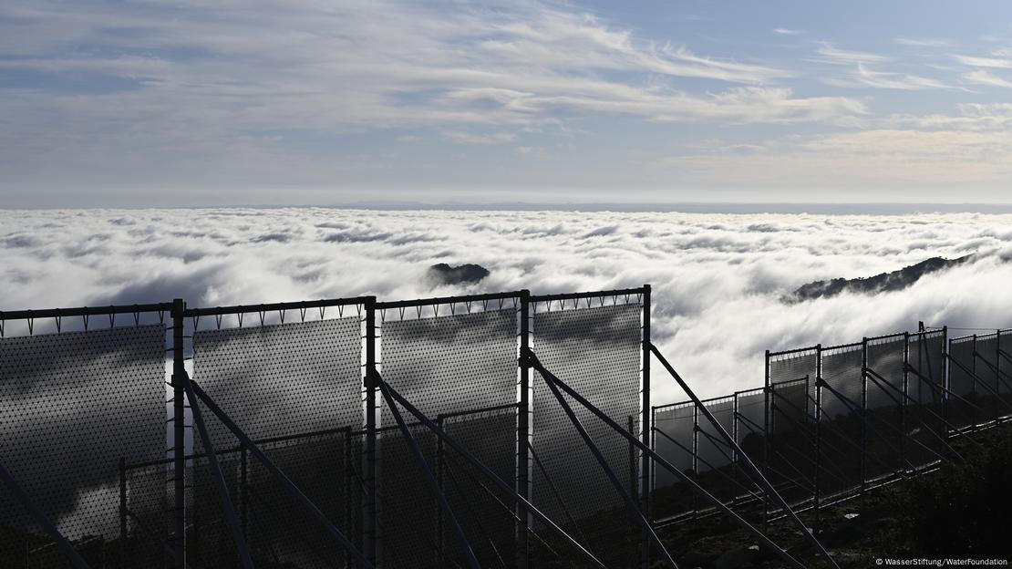 Fog