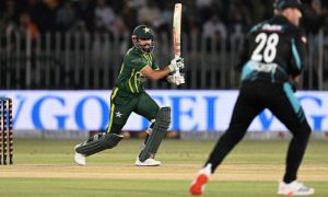 Pakistan, New Zealand, T20I, Michale Bracewell, Hasan Nawaz, Shaheen Afridi