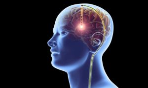 Brain US