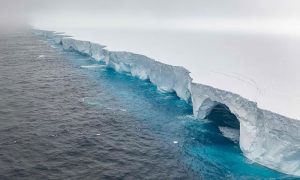 Iceberg, Antarctic Island, Wildlife, Haven, Island, Georgia