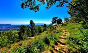 Margalla Hills