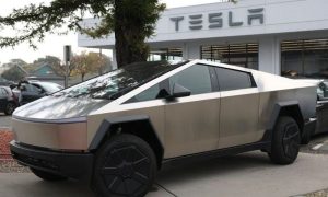 Saudi Arabia, Crown Prince, Tesla, US, Electric Vehicle, Ceer, Elon Musk,