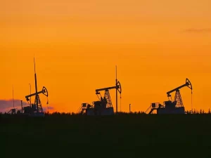 china discovers major new oilfield off shenzhen
