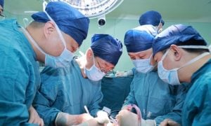 China, Pig Liver, Military Medical University, Oxford University,