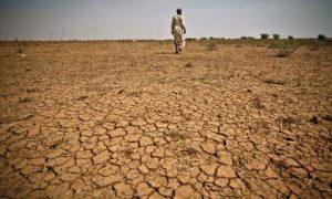 Pakistan, Drought, Rainfall, PPMD, Agriculture, Water Shortage, Water Management, Climate Change, Weather