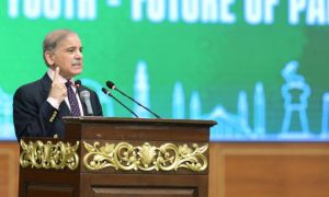 Pakistan, Prime Minister, Palestine, IIOJK,
