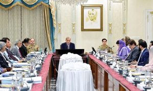Pakistan, Waters, Indus Waters Treaty, Pahalgam, India, Kashmir, Council of Common Interests