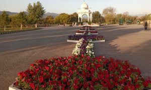 F 9 Park