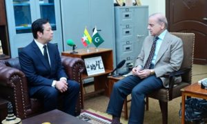 Pakistan, Myanmar, Earthquake, Prime Minister,