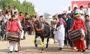 Pakistan Baisakhi 3 1