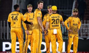 PSL, Cricket, Ducks, Peshawar Zalmi, Pakistan Super League