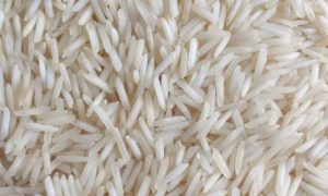 Rice Exports