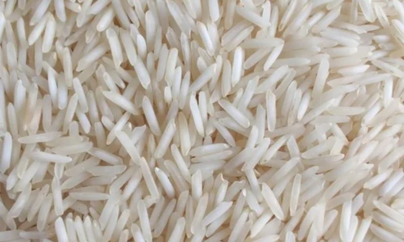Rice Exports